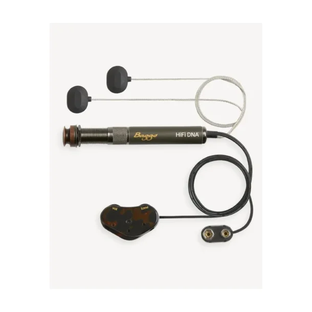 L.R. Baggs HiFi DNA
